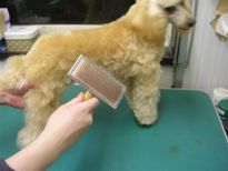 �X���b�J�[��1