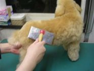 �X���b�J�[��2