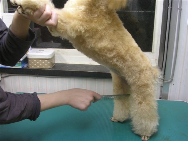 ���̓���2